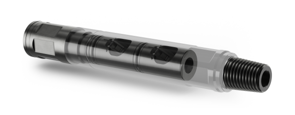 DOUBLE FLAPPER CHECK VALVE